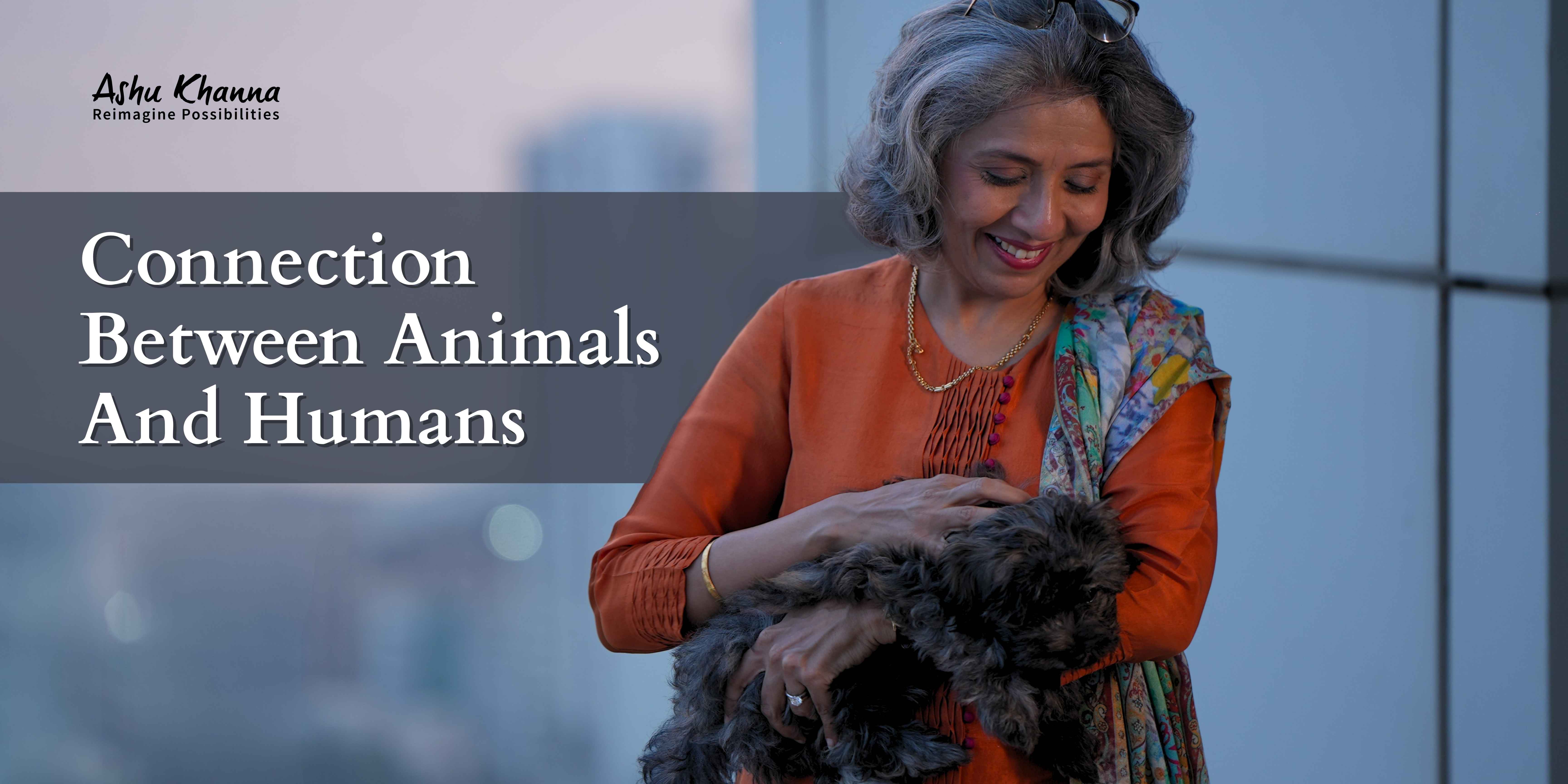 Connection between Animals and Humans